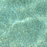 PEBBLE PLASTER